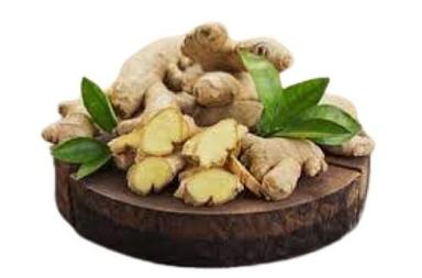 Long Shape Raw Processed 63-83% Moisture Content Fresh Ginger Shelf Life: 1 Week