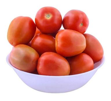 Oval 1.71% Moisture Contain Seasoned Natural And Fresh Tomatoes 
