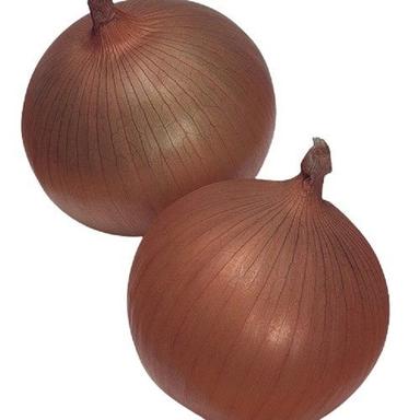 Round Farm Fresh And Indian Origin Brown Onion
