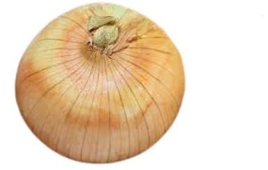 Farm Fresh Round Shape Raw Naturally Grown Healthy Onion Moisture (%): 86%