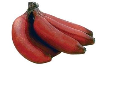 Common Naturally Grown Fresh Long Shape Medium Size Sweet Red Banana