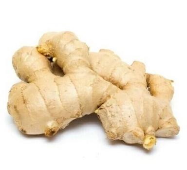 Natural Commonly Cultivated Farm Fresh Raw Ginger Moisture (%): 8%