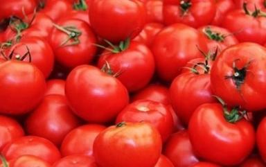 Natural Commonly Cultivated Round Fresh Raw Tomato Moisture (%): 92%