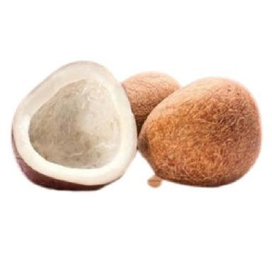 Brown Round Shape Healthy Mild Flavor Commonly Cultivated Medium Size Dry Coconut
