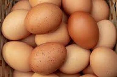 Tasty And Nutritious Brown Chicken Eggs  Egg Size: 35Gram