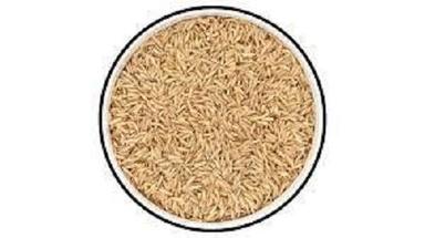 Long Grain Common Cultivation Indian Origin Dried Brown Rice  Admixture (%): (%)0.5 %