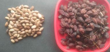 100% Pure Neem Seeds Admixture (%): 1-2%