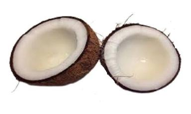  सफेद भूरा गोल आकार का परिपक्व खेत ताजा पूरी तरह से भूसा हुआ नारियल 