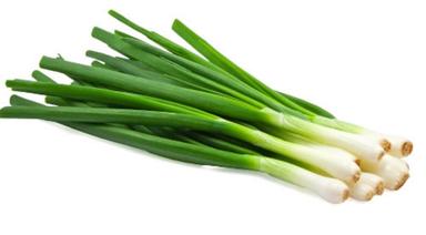 Natural And Fresh Commonly Cultivated Round Raw Spring Onion Moisture (%): 60