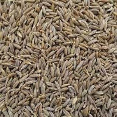 Brown A Grade Rich In Iron Healthy Raw Processed Dried Cumin Seeds
