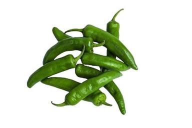 Naturally Grown Long Shape Healthy Spicy Green Chilli Preserving Compound: Dry Place