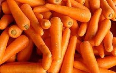 Fresh Carrot Moisture (%): 87.5%