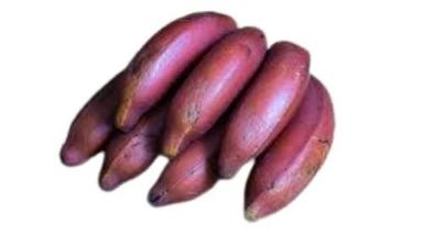 Common Red Banana