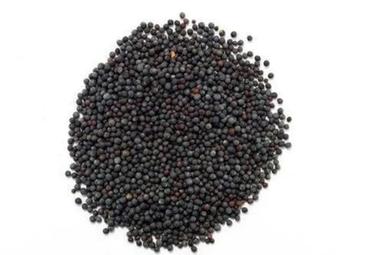 2% Ash 6% Imperfect Ratio Agricultural Grade Hybrid Black Mustard Seeds Admixture (%): 1%