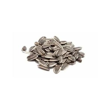 Raw Processed Pure A-Grade Dried Dibbling Method Edible Sunflower Seeds Admixture (%): 0.5%