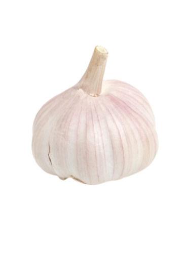 Round Commonly Cultivated Raw And Fresh Garlic Moisture (%): 10%