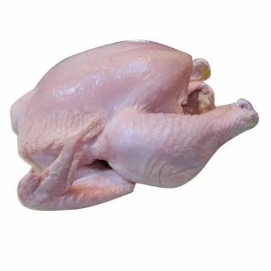 Disease Free 99.9% Pure Healthy Poultry Farm Frozen Chicken Meat