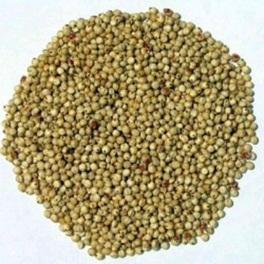 Gluten Free And Natural Taste Millet For Cooking Use