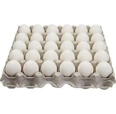 1.5 Kilograms Hatching Origin Chicken Fresh Egg Shelf Life: 10 Days