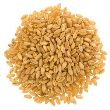 Organic Wheat Seeds Admixture (%): 05