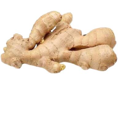 7 % Moisture Preserved Fresh Ginger And Dry Place Preserving Moisture (%): 7%