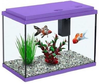 Provides Enrichment For Bottom Dwellers 16 X 8 X 10 Inch Transparent Glass Made Aquarium Fish Tank