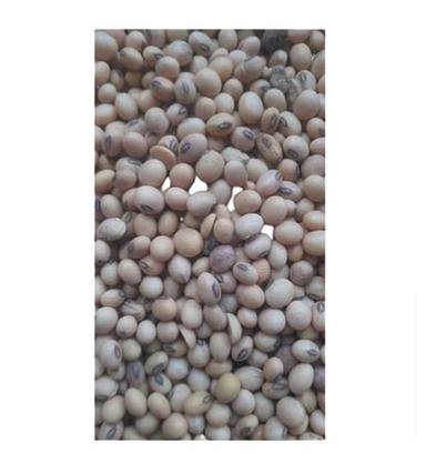 13% Moisture Round Organic Whole Dried Soya Beans  Broken Ratio (%): 2%