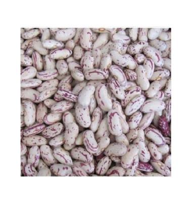 Good For Health 9.77% Moisture 98% Purity Dried Kidney Beans  Broken Ratio (%): 2%