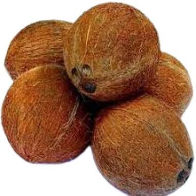 भूरा मध्यम आकार के पोषक तत्वों से भरपूर परिपक्व साबुत ताजा नारियल 