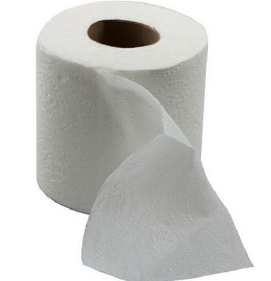 White Plain 2 Ply Toilet Paper Roll