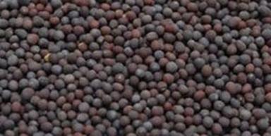 Dried And Raw Commonly Cultivated Black Mustard Seed Admixture (%): 1%