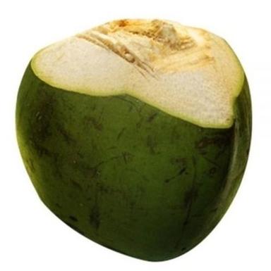 आम तौर पर उगाया जाने वाला साबुत और गोल ताजा हरा नारियल