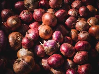 Round No Pesticide Residue Export Quality 100% Farm Fresh Red Onions