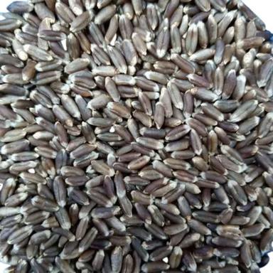 Commonly Cultivated Pure And Dried Black Wheat Seed Admixture (%): 1%
