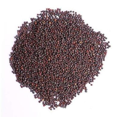 100% Pure Natural Dried Mustard Seeds For Cooking Use