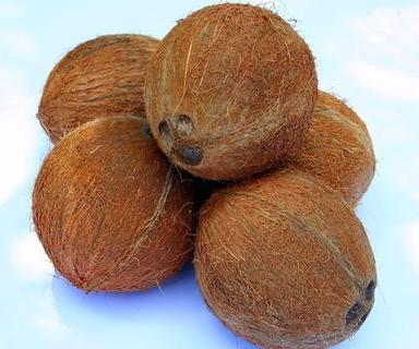 भोजन के लिए ए ग्रेड छोटा भूरा भूसा हुआ सूखा नारियल 