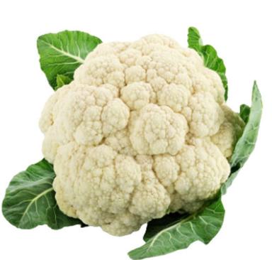 Organic Cultivated Natural And Fresh Round Raw Cauliflower Moisture (%): 92