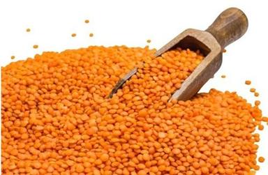 Commonly Cultivated Pure And Natural Dried Whole Raw Red Lentils Admixture (%): 15%