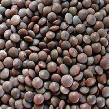 100% Natural Nutrients Organic Healthy Dried Fresh Malka Masoor Dal Broken (%): 5%