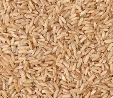 Pure And Dried Organic Cultivated Indian Origin Medium Grain Brown Rice Admixture (%): 0.3%