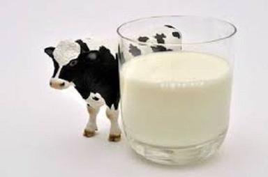 100% Pure Organic Raw Processing Cow Milk In Bottle Packaging Age Group: Children