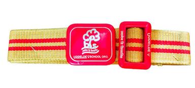 Multi Colored Polyester Iron School Belt For Unisex Age Group: 3-18