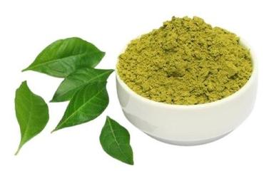 Green Bitter Taste Earthy Aroma Pure A Grade Dried Curry Leaves Powder