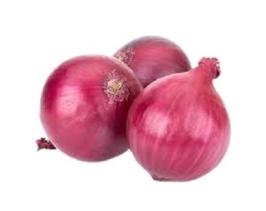 Naturally Grown Round Shape Fresh Raw Onion For Cooking  Moisture (%): 86%