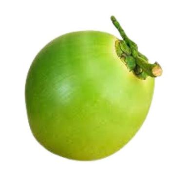 हरा परिपक्व कच्चा प्राकृतिक रूप से उगाया जाने वाला मीठा स्वस्थ कोमल नारियल 