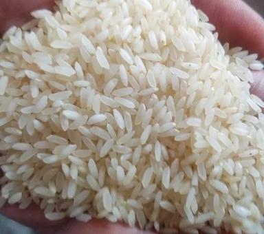 Solid Medium-Grain Healthy To Eat Dried Organic Cultivated Style Rice Broken (%): 0.5%.