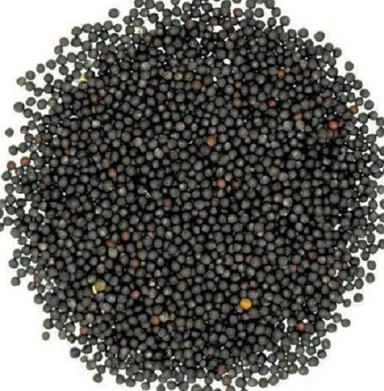Sunlight Dried Edible Commonly Cultivated Black Mustard Seeds Admixture (%): 1%