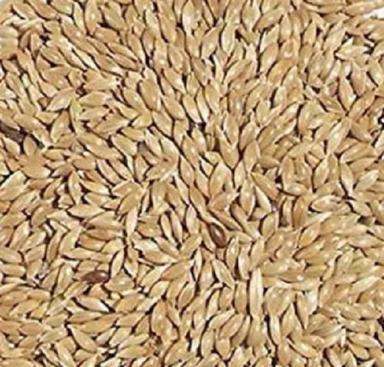 98% Pure Dried Raw Canary Seed Admixture (%): 0.3%