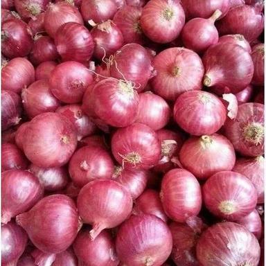 A Grade Medium Size Fresh Red Onion, 50 Kg Bag Packaging