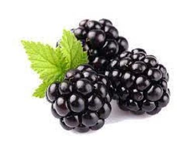Black Organic 100% Natural Sweet Non Glutinous Healthy Blackberries Fruit